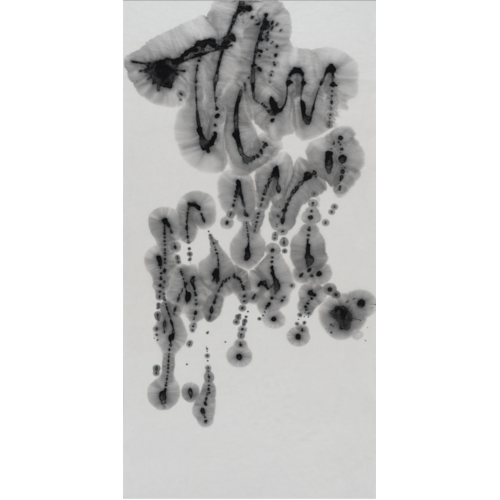 Correlation2024 -ruminate- #2
